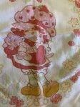 画像2: Strawberry Shortcake Pillow Case ストロベリーショートケーキ　ピローケース (2)