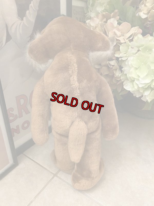 画像4: Looney Tunes  Wile. E. Coyote Plush Doll ルーニーチューンズ ワイリーコヨーテ ぬいぐるみ 1987年 (4)