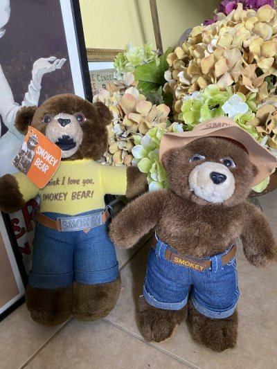 画像2: Smokey Bear Plush Doll / スモーキーベア　ぬいぐるみ　1970年代