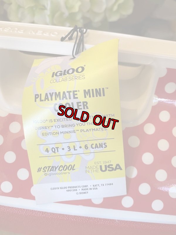 画像6: New！！　Igloo Disney Minnie Mouse Cooler Box / イグルー　ディズニー　ミニーマウス　クーラーボックス　(スペシャルエディション) (6)