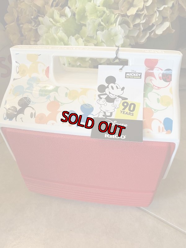画像1: New！　Igloo Disney Cooler Box / イグルー　ディズニー　クーラーボックス　(スペシャルエディション) (1)
