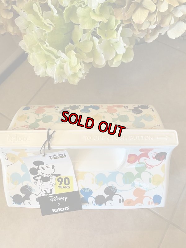 画像5: New！　Igloo Disney Cooler Box / イグルー　ディズニー　クーラーボックス　(スペシャルエディション) (5)