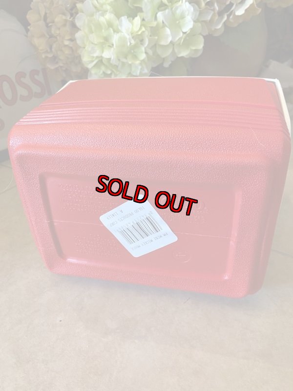 画像6: New！　Igloo Disney Cooler Box / イグルー　ディズニー　クーラーボックス　(スペシャルエディション) (6)