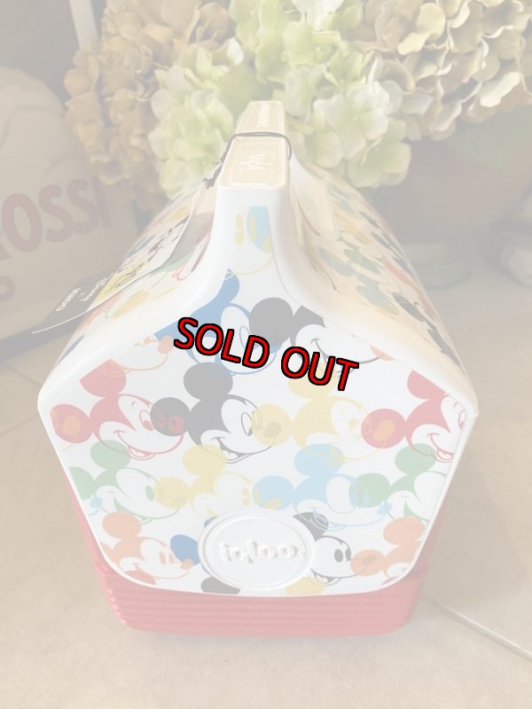 画像4: New！　Igloo Disney Cooler Box / イグルー　ディズニー　クーラーボックス　(スペシャルエディション) (4)