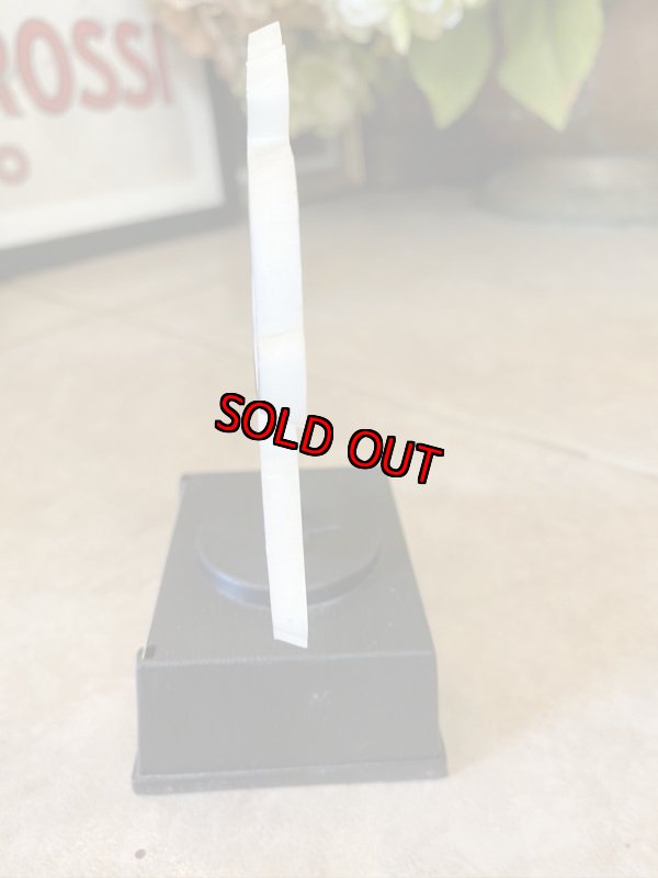 画像2:  Soopy Aviva Trophy Ski Bum / スヌーピー　トロフィー　スキーバム (2)