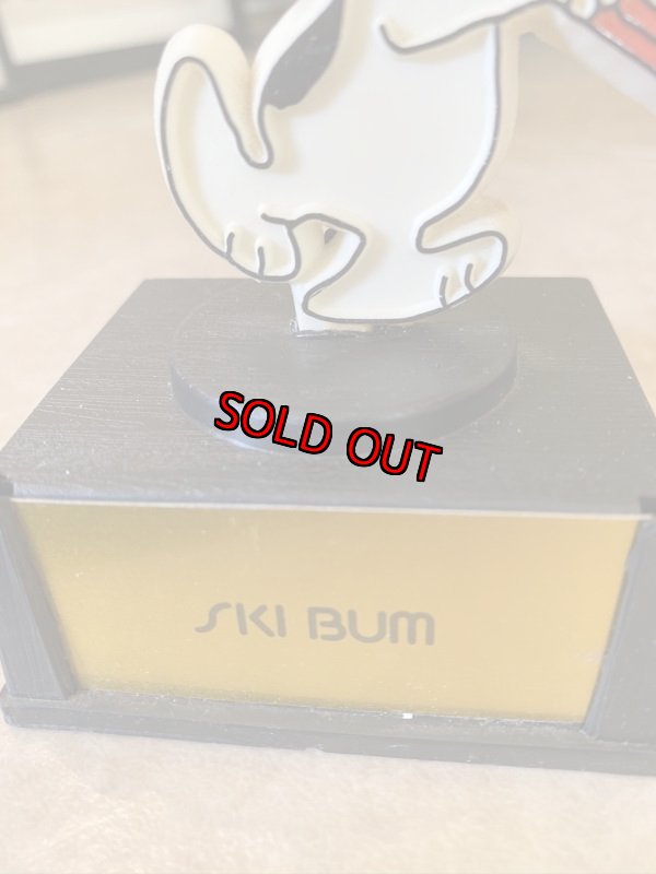 画像6:  Soopy Aviva Trophy Ski Bum / スヌーピー　トロフィー　スキーバム (6)