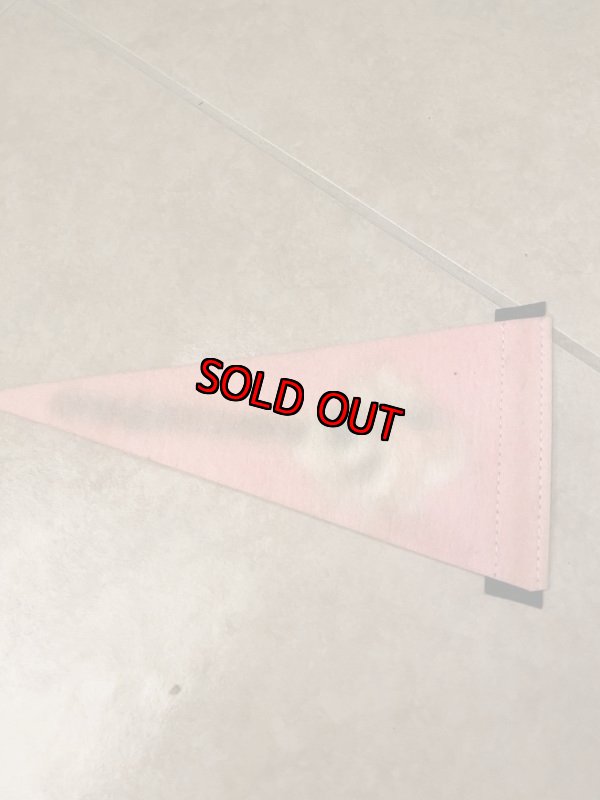 画像4: Hanna  Barbera Yogi  Bear Pennant / ハンナバーベラ ヨギベア ペナント、旗 (4)