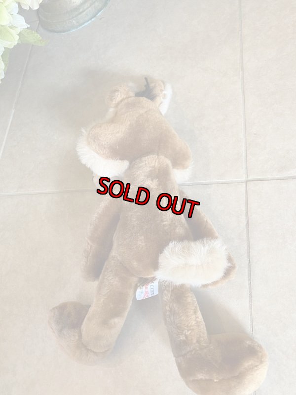 画像6: Looney Tunes  Wile. E. Coyote Plush Doll /ルーニーチューンズ　ワイリーコヨーテ　ぬいぐるみ (6)