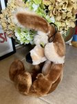 画像2: Looney Tunes  Wile. E. Coyote Plush Doll /ルーニーチューンズ　ワイリーコヨーテ　ぬいぐるみ (2)