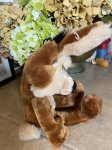 画像3: Looney Tunes  Wile. E. Coyote Plush Doll /ルーニーチューンズ　ワイリーコヨーテ　ぬいぐるみ (3)