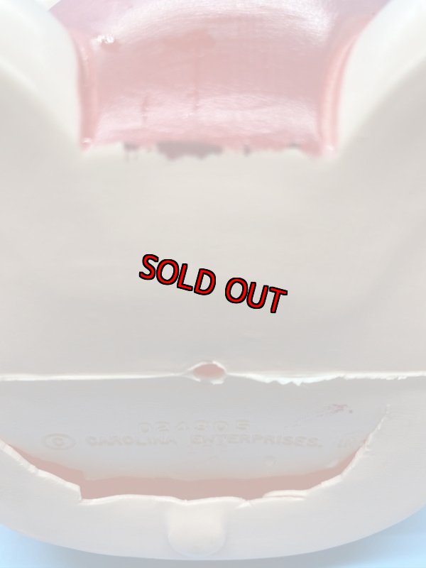 画像7: Pig Piggy Plastic coin bank / ブタのプラスチック製　貯金箱　ピギーバンク (7)