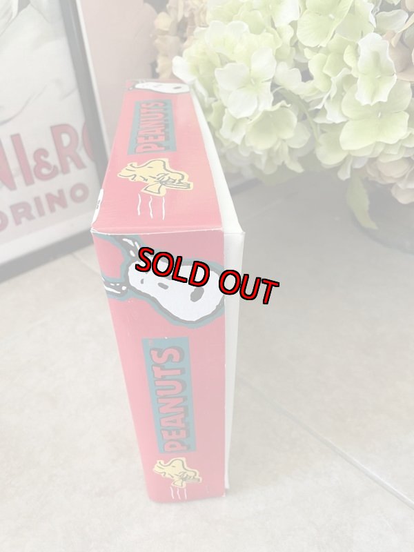 画像2: Peanuts Snoopy Ornament  10 Lights  with box (A) / ピーナッツ、スヌーピー クリスマス 箱入りオーナメント 10ライト (2)