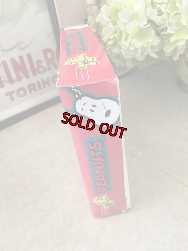 画像2: Peanuts Snoopy Ornament  10 Lights  with box (B) / ピーナッツ、スヌーピー　クリスマス　箱入りオーナメント　10ライト (2)