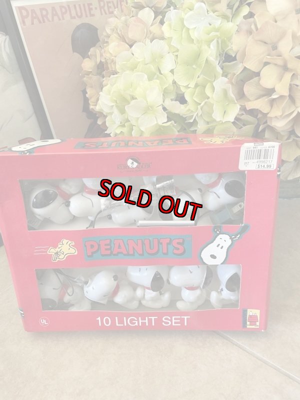 画像1: Peanuts Snoopy Ornament  10 Lights  with box (B) / ピーナッツ、スヌーピー　クリスマス　箱入りオーナメント　10ライト (1)