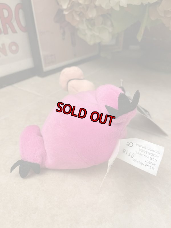 画像5: Hanna Barbera Flintstones  Dino Bean Doll 1998  / フリントストーンズ　ディノ　ビーンズドール (5)