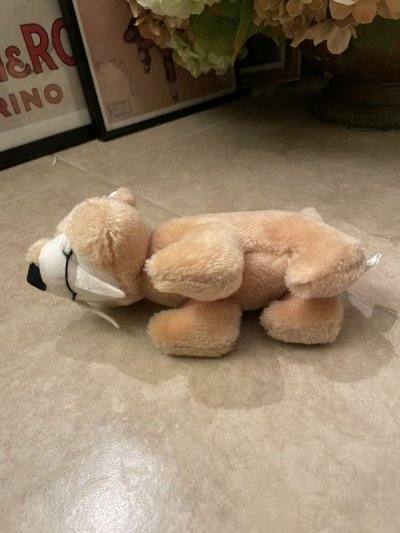 画像2: Hanna Barbera Flintstones Baby Puss Plush Doll (A) /フリントストーン ベイビーパス ぬいぐるみ