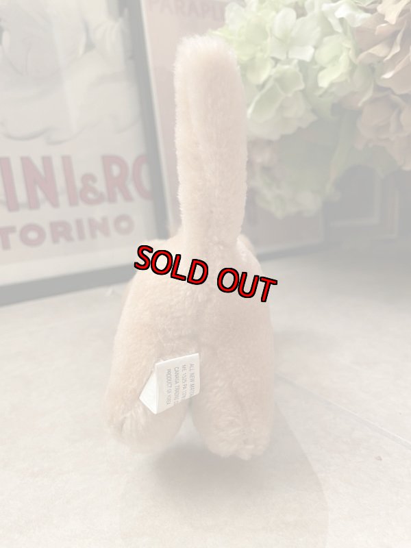 画像7: Hanna Barbera Flintstones Baby Puss Plush Doll (A) /フリントストーン　ベイビーパス　ぬいぐるみ (7)