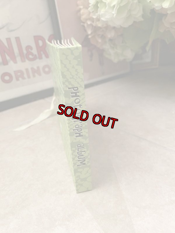 画像2: Hanna Barbera Flintstones Viva Rock Green / フリントストーン　グリーン　フォトアルバム (2)