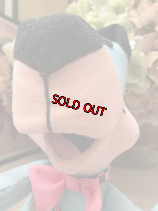画像7: Huckleberry Hound Mattel  Cartoon Club Plush doll 1993 / ハックルベリーハウンド マテル社 カートゥーンクラブ ぬいぐるみ ドール  (7)