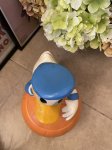 画像5: Disney Donald Duck  With Pumpkin Ceramic Cookie Jar  / ディズニーのドナルドダック　パンプキン　陶器製　クッキージャー (5)