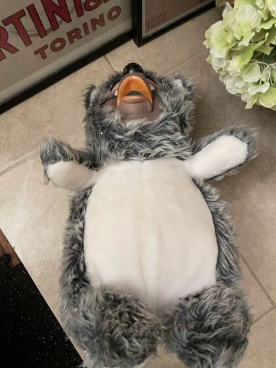 画像3: Disney Country Bear Jamboree Plush Stuffed Doll / ディズニー カントリーベア ジャンボリーぬいぐるみ