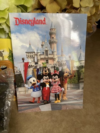 画像3: Disney Disneyland Mickey Mug、post cards set of 11 / ディズニーランド　ポストカード、マグ　11点セット