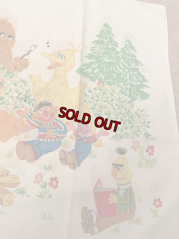 画像5: Sesame Street Camp  fabric pillow case  / セサミストリート　キャンプ　ピローケース (5)