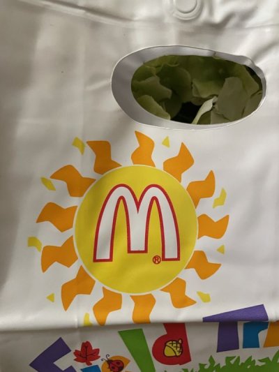 画像1: McDonald’s Field Trip Vinyl Lunch Bag 1992 / マクドナルドのフィールドトリップ ビニール製ランチバッグ