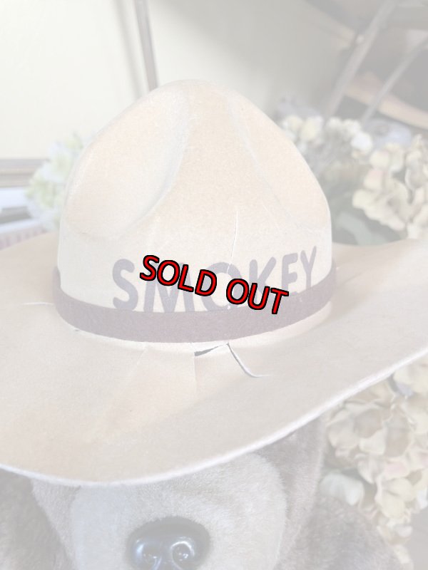 画像7: Smokey Bear Large Plush Doll 45cm / スモーキーベア　ぬいぐるみ　1970年代 (7)