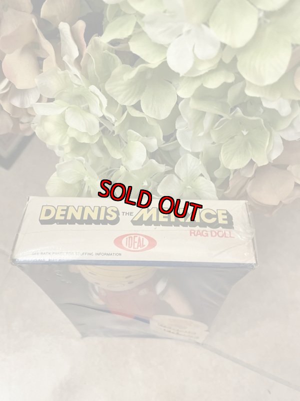 画像3: Dennis the Menace Ideal doll with  Box 1976 /  わんぱくデニス　箱入り　デニス布製ドール　デッドストック (3)