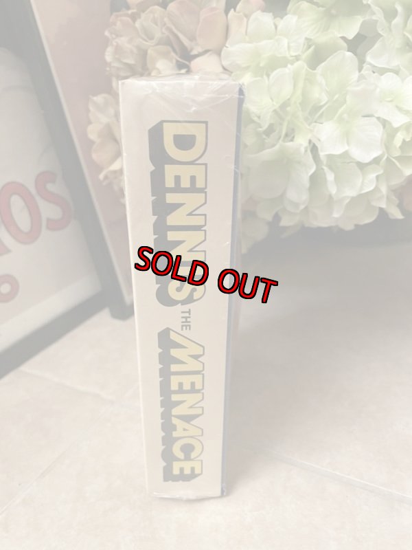 画像6: Dennis the Menace Ideal doll with  Box 1976 /  わんぱくデニス　箱入り　デニス布製ドール　デッドストック (6)