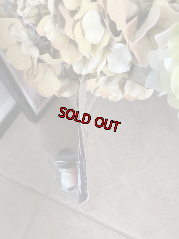 画像4: Snoopy Wind Up Walker / スヌーピー　ブリスター入り　歩行人形トイ (4)