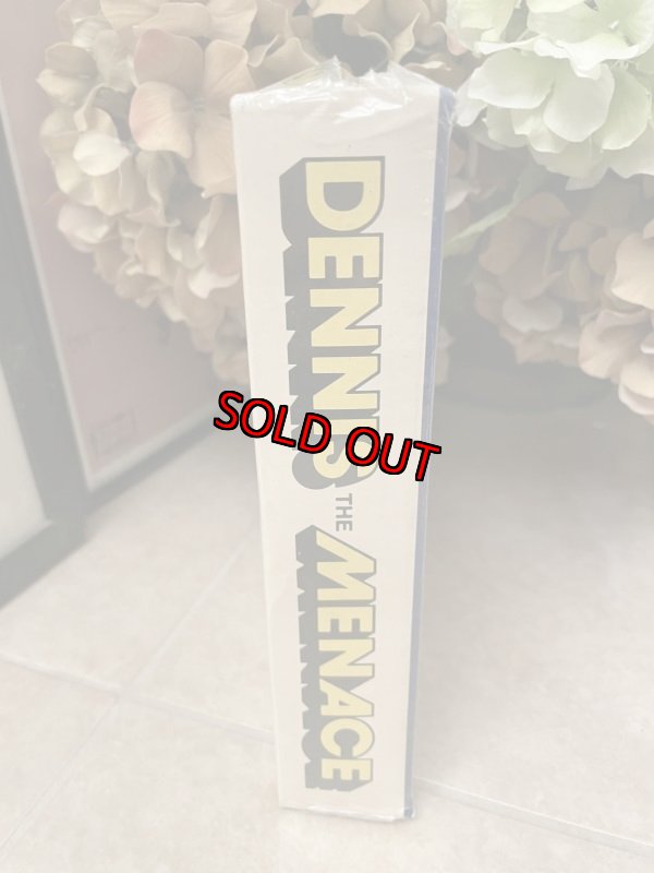 画像5: Dennis the Menace Ideal doll with  Box 1976 /  わんぱくデニス　箱入り　デニス布製ドール　デッドストック (5)