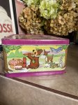 画像14:  Yogi Bear & Boo Boo Aladdin Tin Lunch Box 1974 / ヨギベア&ブーブーのアラジン、ティン製　ランチボックス缶 (14)