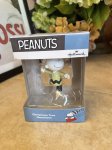 画像1: Peanuts Charie Brown Hallmark Christmas Ornament with box / ピーナッツ、スヌーピー、チャーリーブラウン、クリスマス　箱入りオーナメント (1)