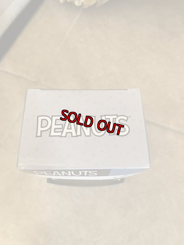 画像2: Peanuts Charie Brown Hallmark Christmas Ornament with box / ピーナッツ、スヌーピー、チャーリーブラウン、クリスマス　箱入りオーナメント (2)