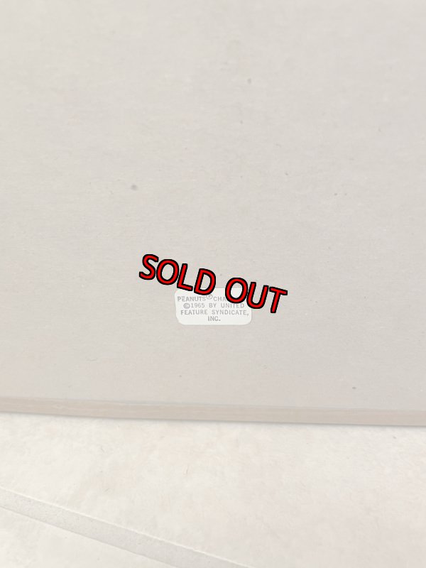 画像5: Peanuts Charie Brown 3D wall Frame decorations / ピーナッツ チャーリーブラウン 3D ウォール 壁掛け ディスプレイ (5)