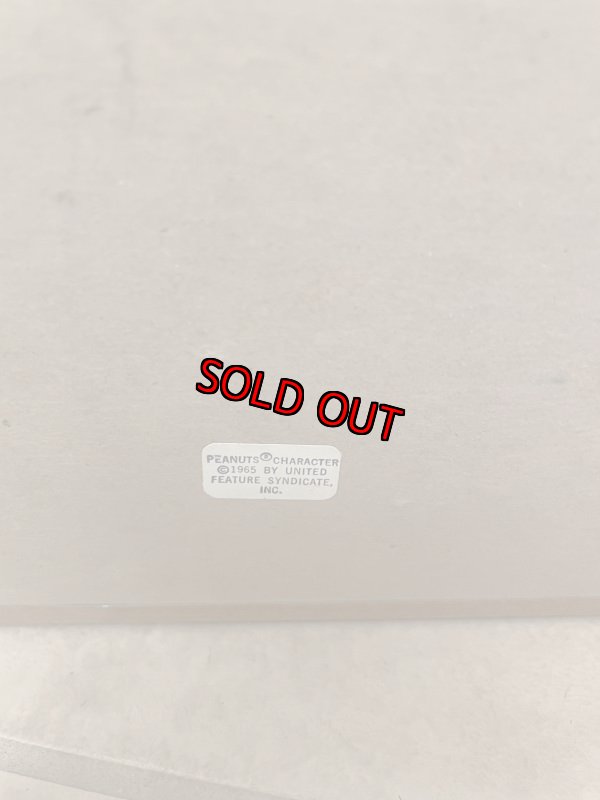 画像5: Peanuts Lucy 3D wall Frame decorations / ピーナッツ ルーシー 3D ウォール 壁掛け ディスプレイ (5)