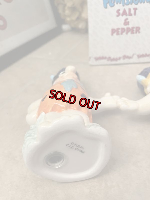 画像5: Flintstones Water Baffalo Ceramic Salt & Pepper with Box (B) / フリントストーン　箱入り陶器製、塩コショウのセット ウォーターバッファロー (5)