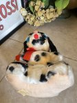 画像12: Carnival black spot dog Stuffed Plush Doll / カーニバル　白黒ぬいぐるみ　 (12)