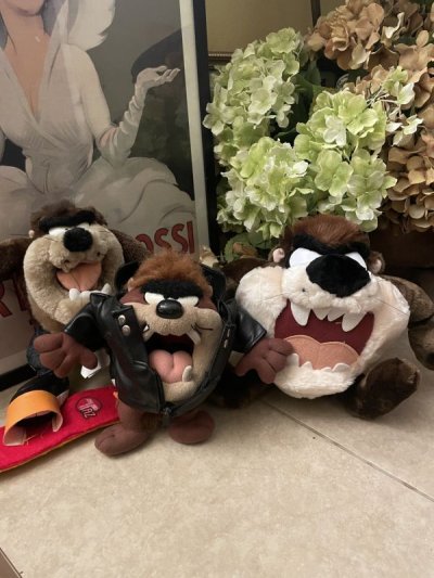 画像3:  Looney Tunes Tasmanian Devil snowboard Plush Doll (B) /  ルーニーテューンズ  タスマニアデビル　スノーボード　ぬいぐるみ　