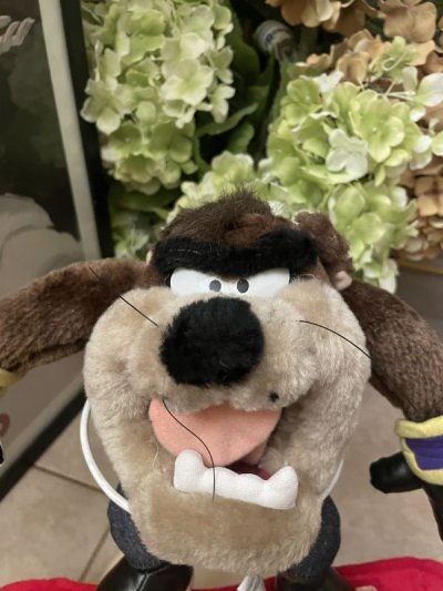 画像1:  Looney Tunes Tasmanian Devil snowboard Plush Doll (B) /  ルーニーテューンズ  タスマニアデビル　スノーボード　ぬいぐるみ　