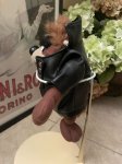 画像3:  Looney Tunes Tasmanian Devil Jacket  clothe Plush Doll (C) /  ルーニーテューンズ  タスマニアデビル　ジャケット着てる　ぬいぐるみ　 (3)