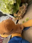 画像13: Bullwinkle Plush Doll 2001 / ロッキー＆ブルウィンクル　ぬいぐるみ (13)