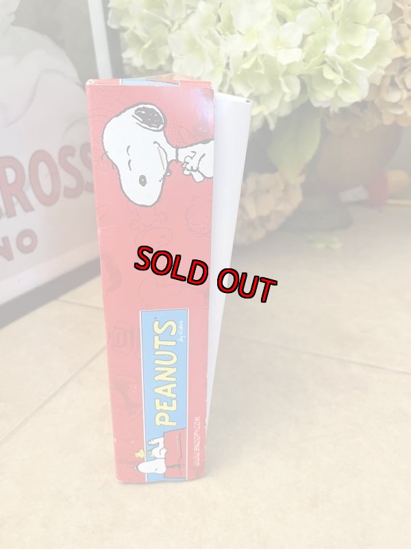 画像4: Peanuts Snoopy Ornament 10 Lights  with box (C) / ピーナッツ、スヌーピー　クリスマス　箱入りオーナメント　10ライト (4)