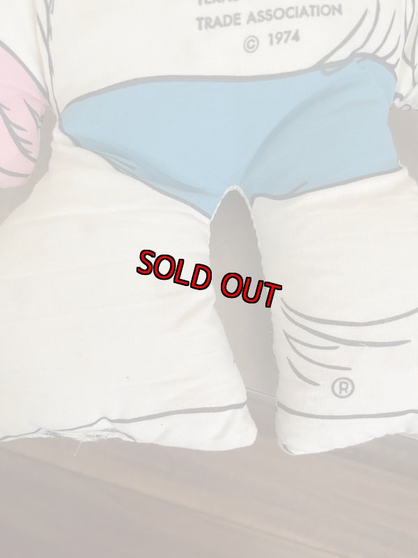 画像16:  Dairy Queen DQ Kid boy Pillow Doll 1974 / ディリークィーン　DQキッド　テキサス　男の子　ピロードール (16)