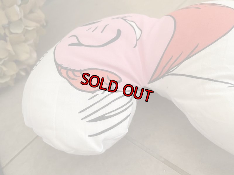 画像13:  Dairy Queen DQ Kid boy Pillow Doll 1974 / ディリークィーン　DQキッド　テキサス　男の子　ピロードール (13)