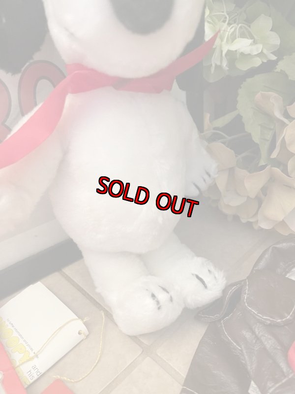 画像3: Snoopy plush doll 1968 & Wardrobe Clothes set / スヌーピー　ぬいぐるみの洋服　&  袋入り洋服セット (3)