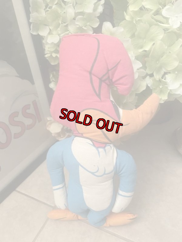 画像1: Woody Woodpecker pillow doll / ウッディ　ウッドペッカー　ピロードール (1)