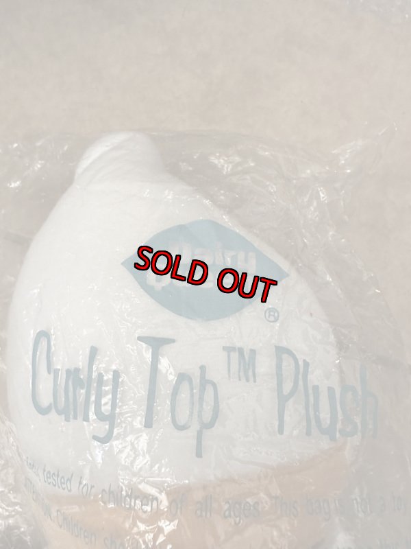 画像9: Dairy Queen Plush Bean Plush doll with bag 1999 / ディリークィーン 袋入り　プラッシュドール　ソフトクリーム　未開封　 (9)